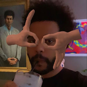 Meet your Posher, Rose